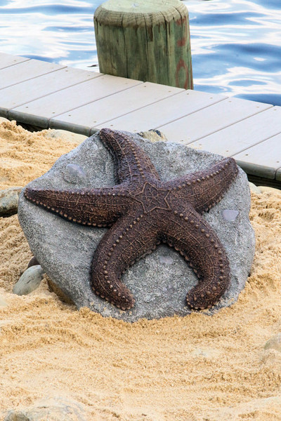 Deep Sea Starfish Sculpture Great for the Beach Home